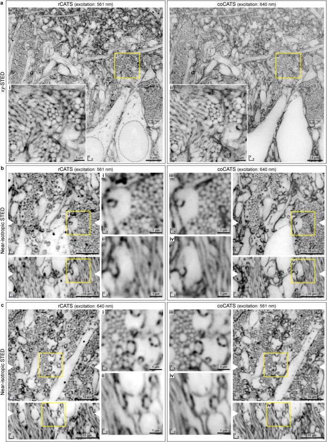 Extended Data Fig. 9