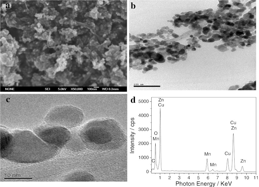 Fig. 1