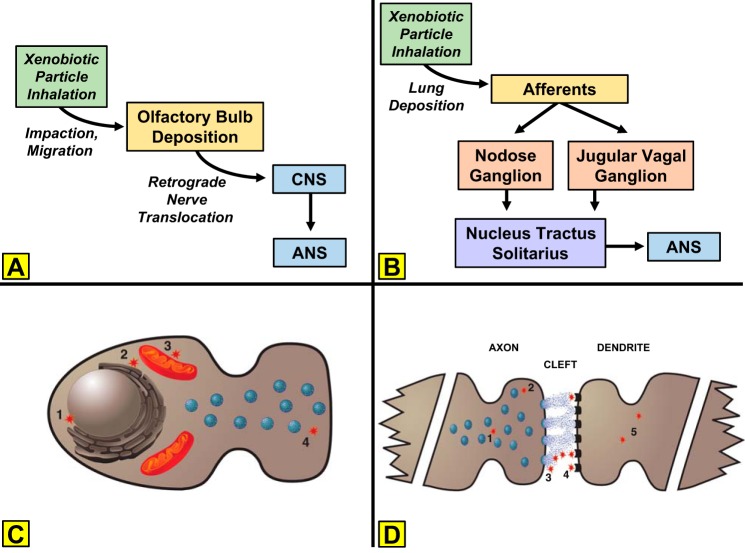 Fig. 3.