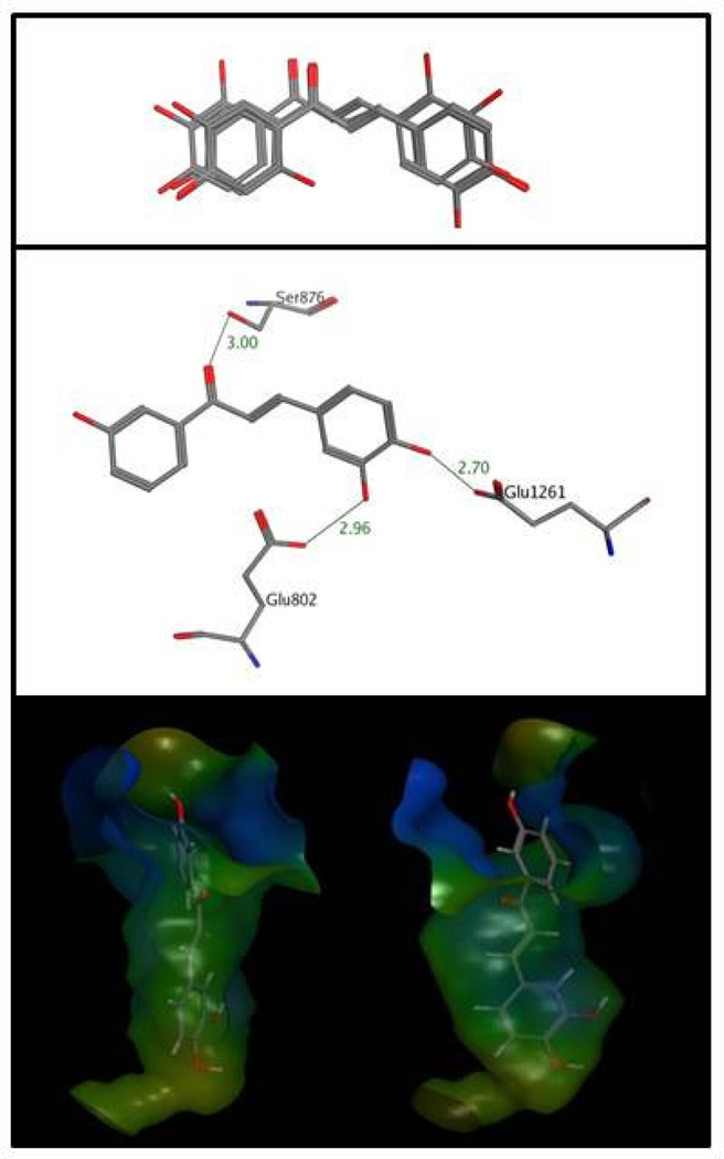 Figure 4