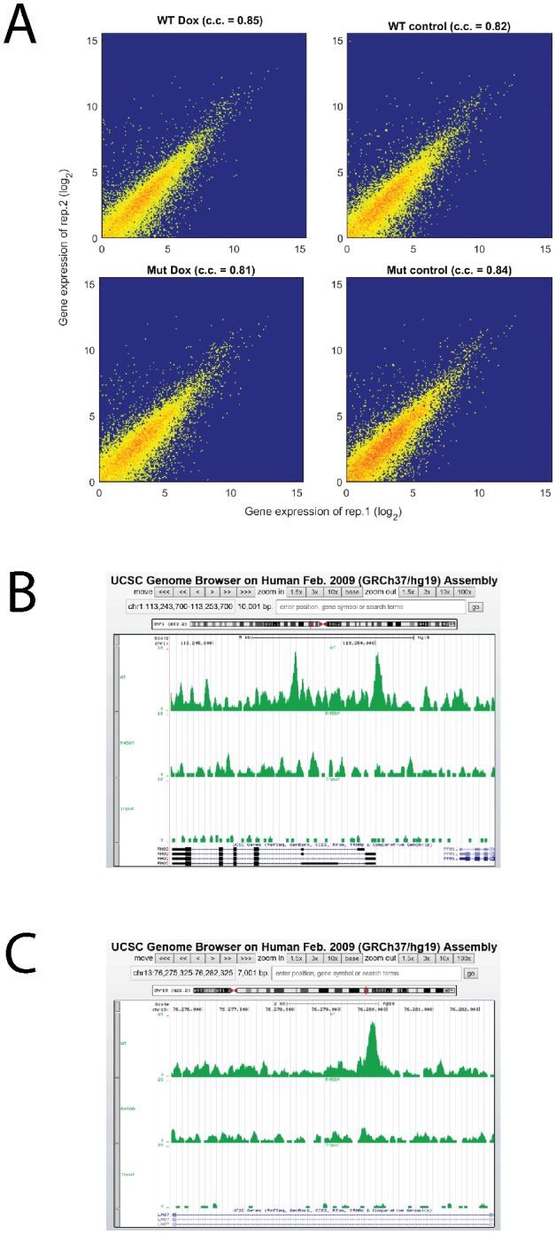 Figure 3—figure supplement 1.