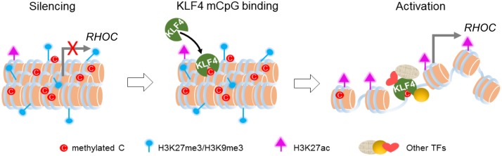 Figure 7.