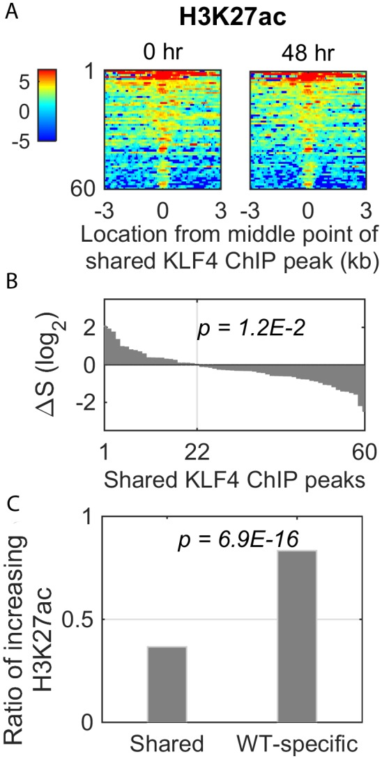 Figure 6—figure supplement 1.