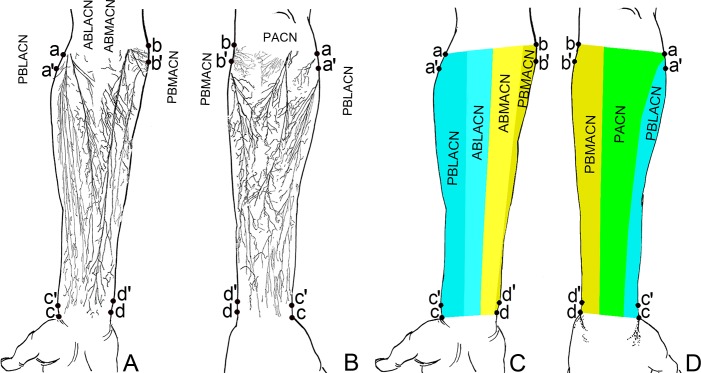 Fig 4