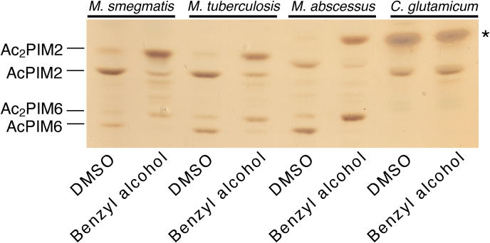 Fig. 10