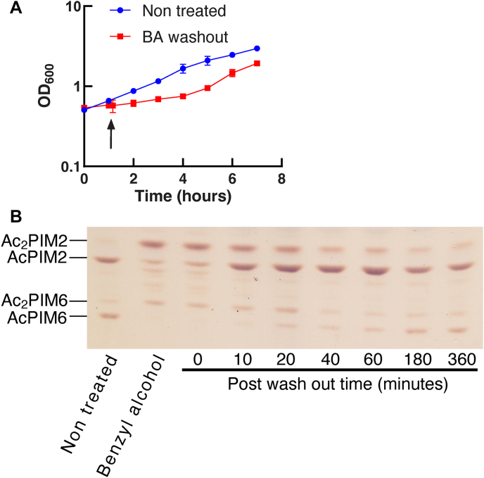 Fig. 6