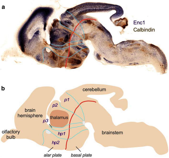 Fig. 9
