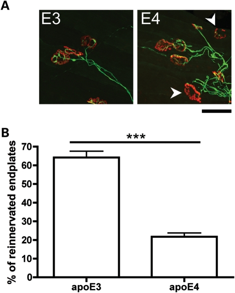 Figure 3.