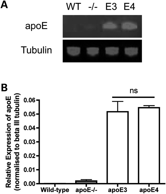 Figure 1.