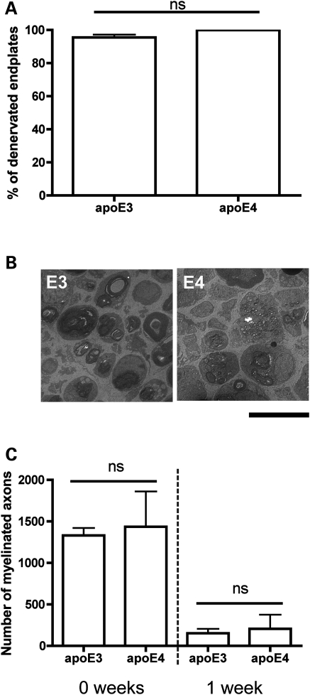 Figure 5.