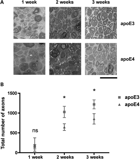 Figure 2.