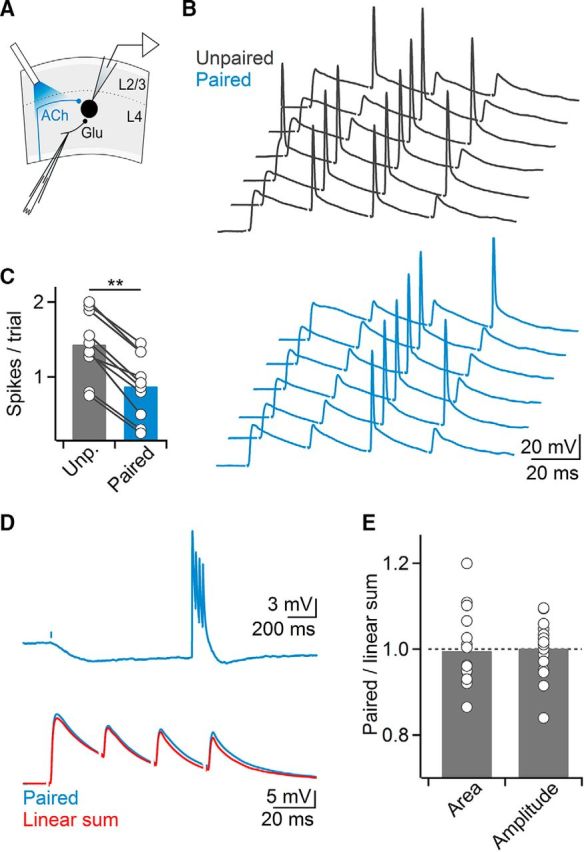 Figure 9.