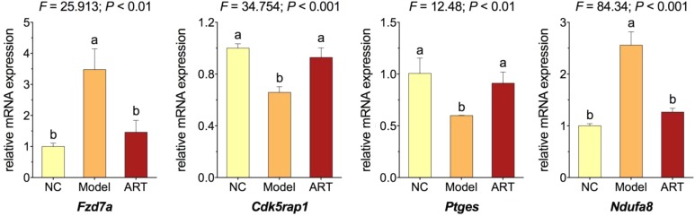 Figure 5.