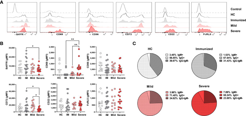 Figure 4