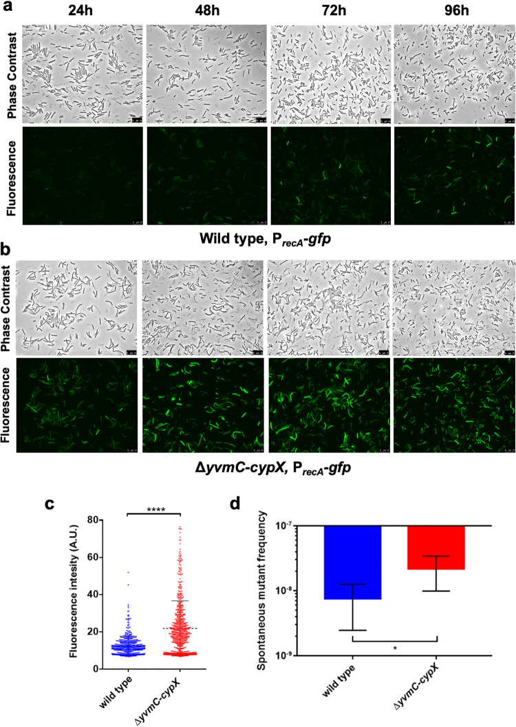 Fig. 4