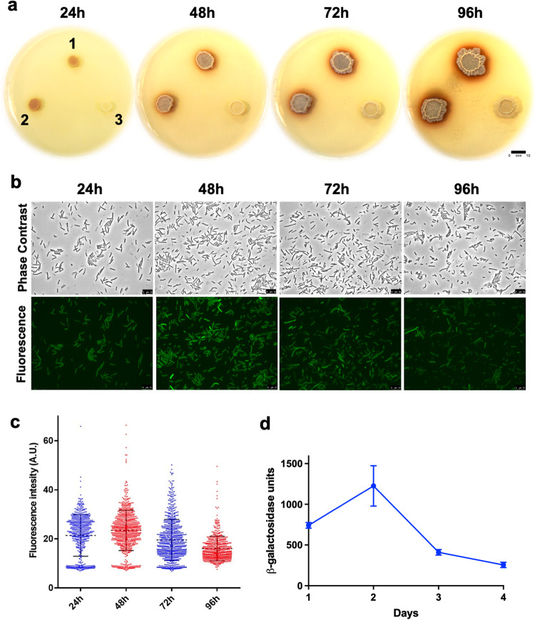 Fig. 1