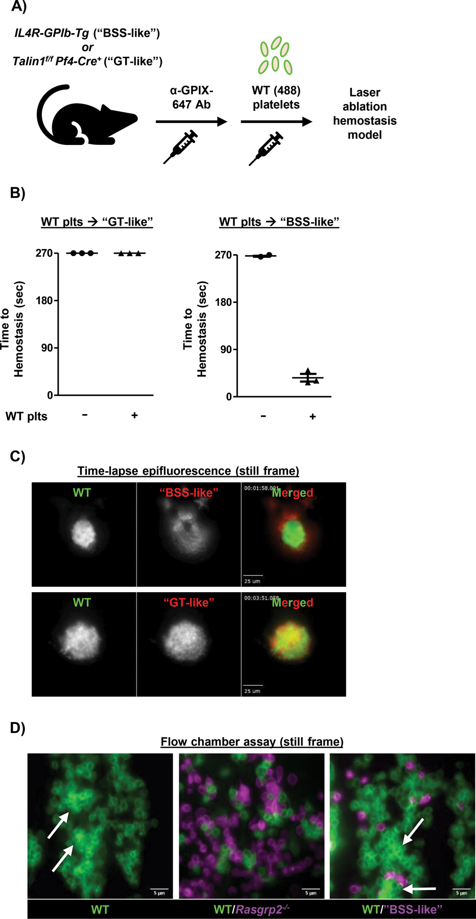 Fig. 4: