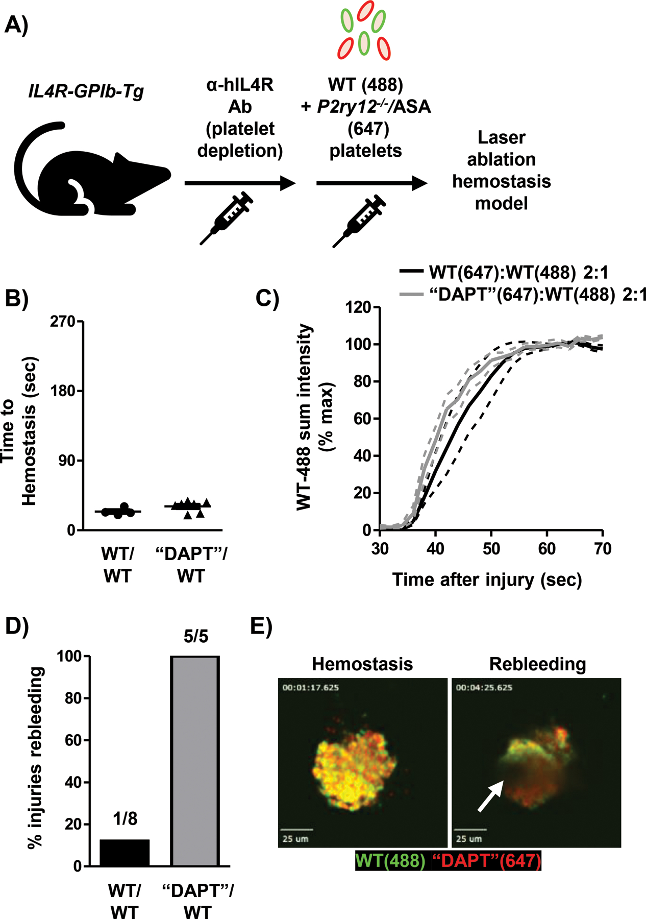 Fig. 6: