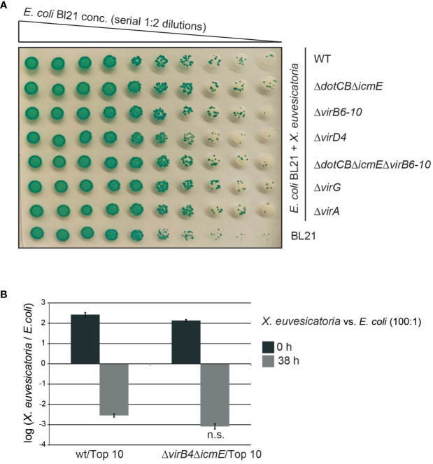 Figure 5