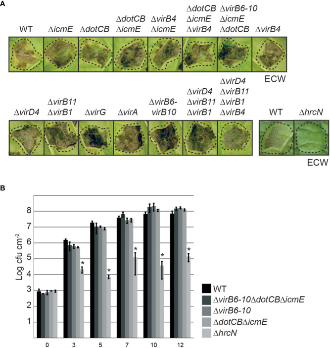 Figure 4