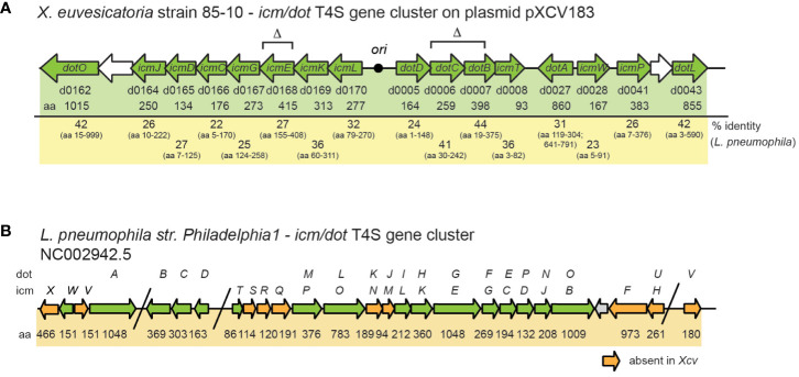 Figure 2