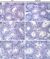 FIG. 6.