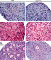 FIG. 7.
