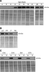 FIG. 4.
