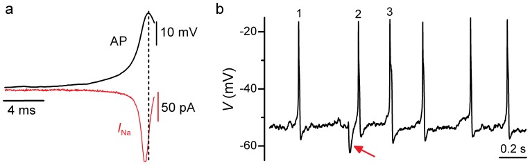 Figure 6