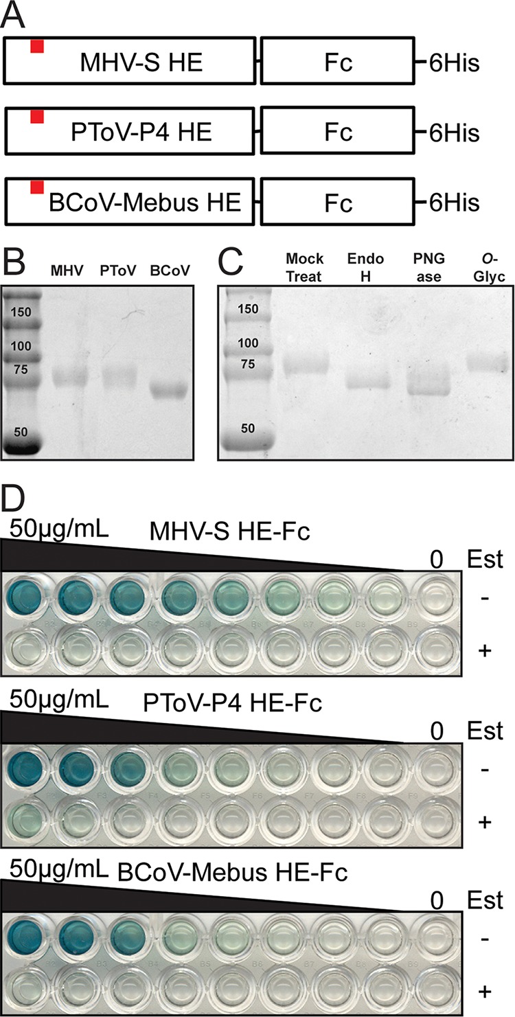 FIG 1 