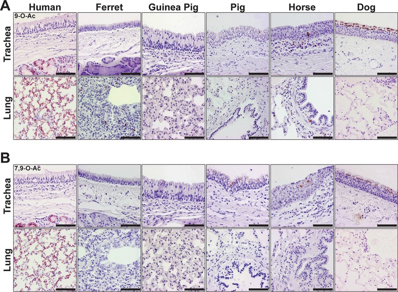 FIG 6 