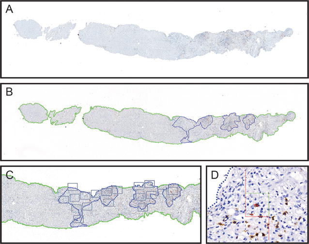 Fig. 1