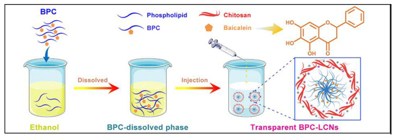 Scheme 2