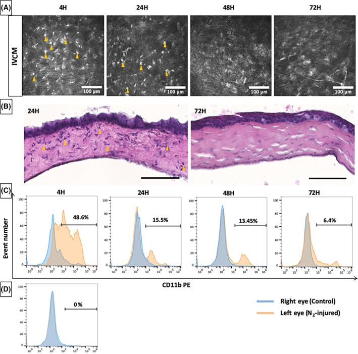 FIGURE 3