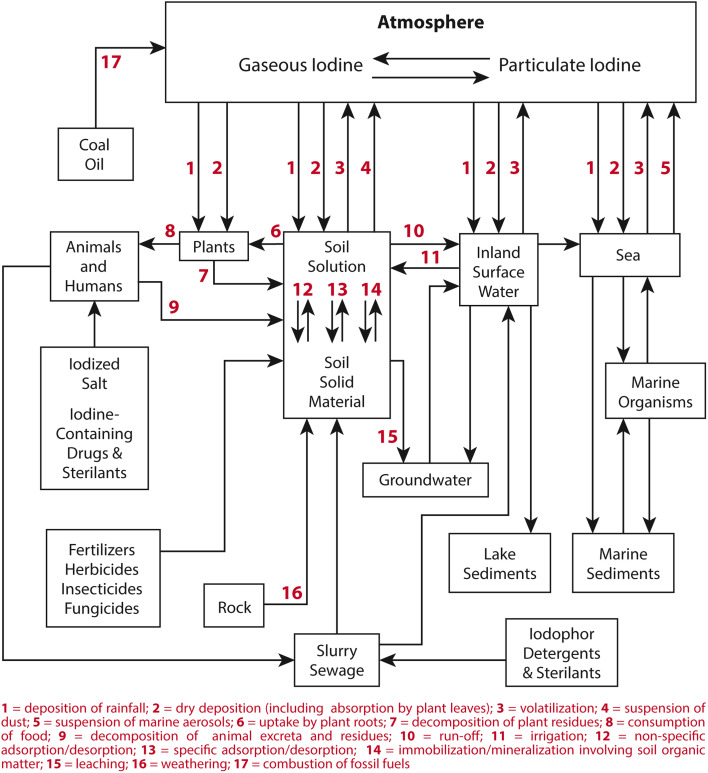 Fig. 6