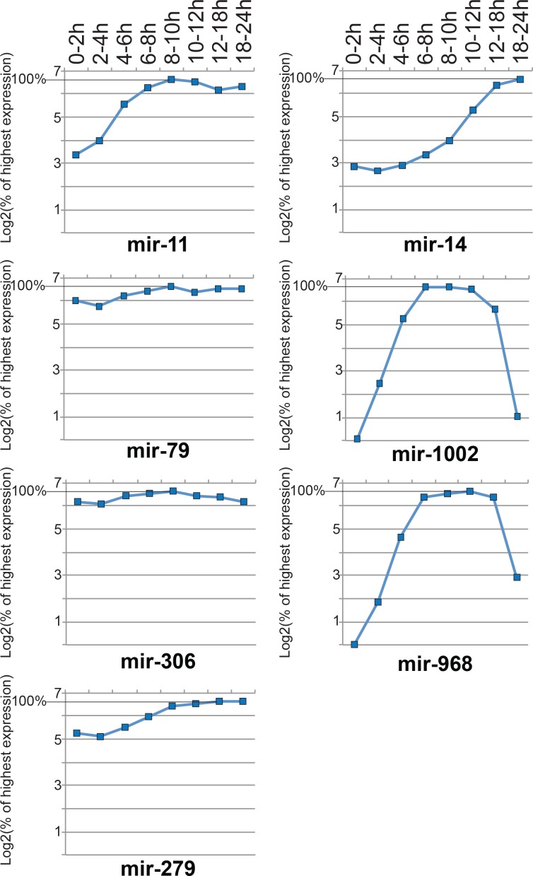 Figure 2—figure supplement 1.