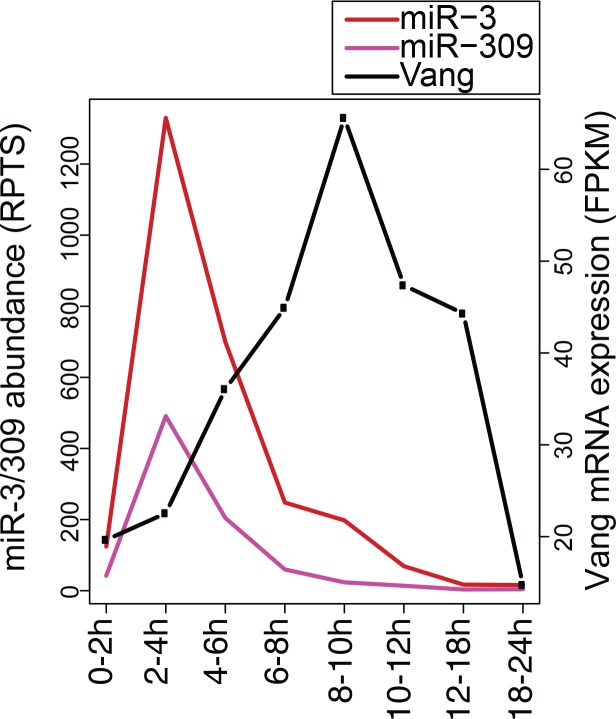 Figure 7—figure supplement 2.