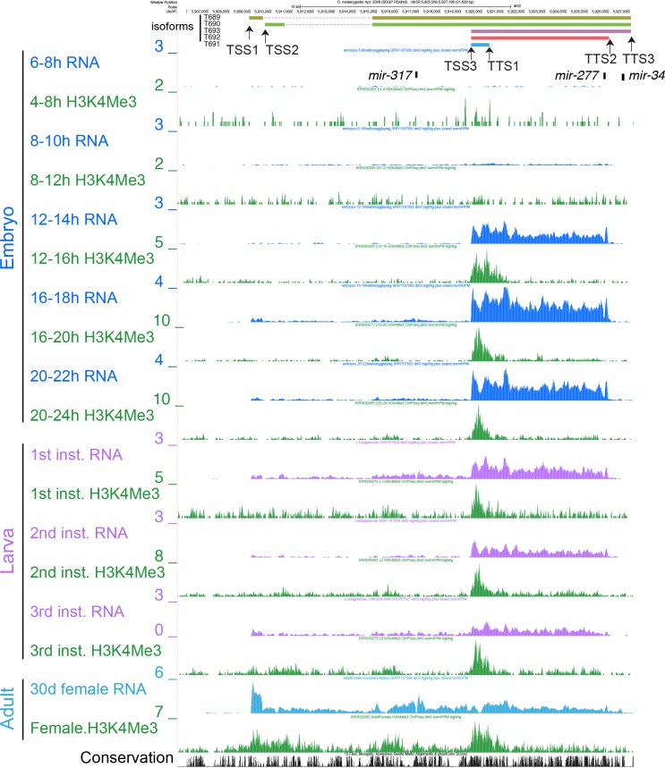 Figure 5—figure supplement 2.