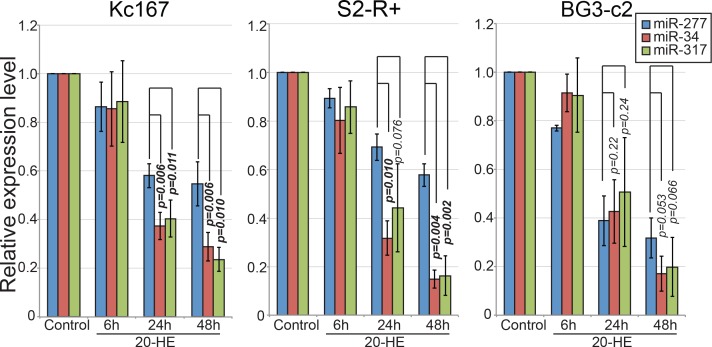 Figure 5—figure supplement 3.