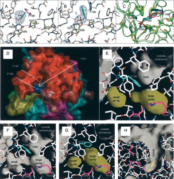 Figure 3.