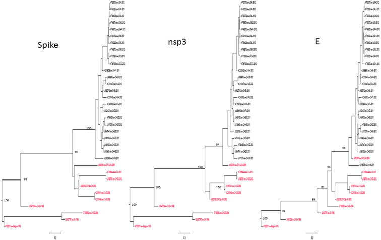 Fig. 2