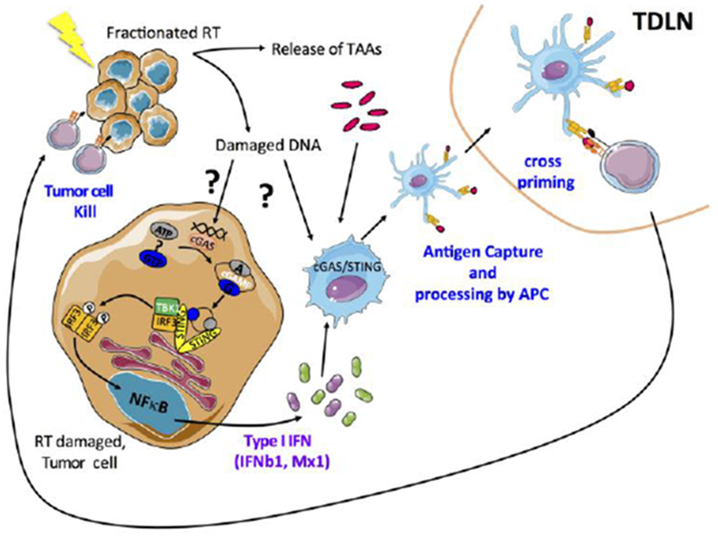 Figure 1: