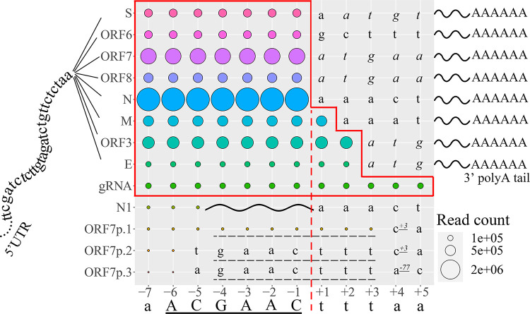 FIG 2