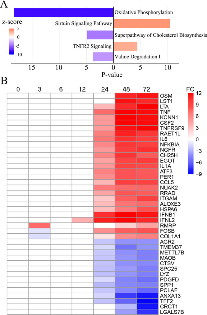 FIG 4