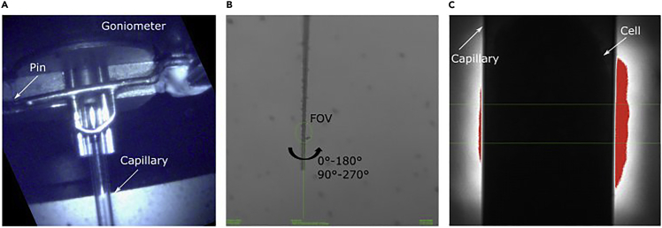 Figure 5