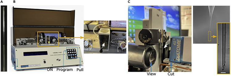 Figure 1