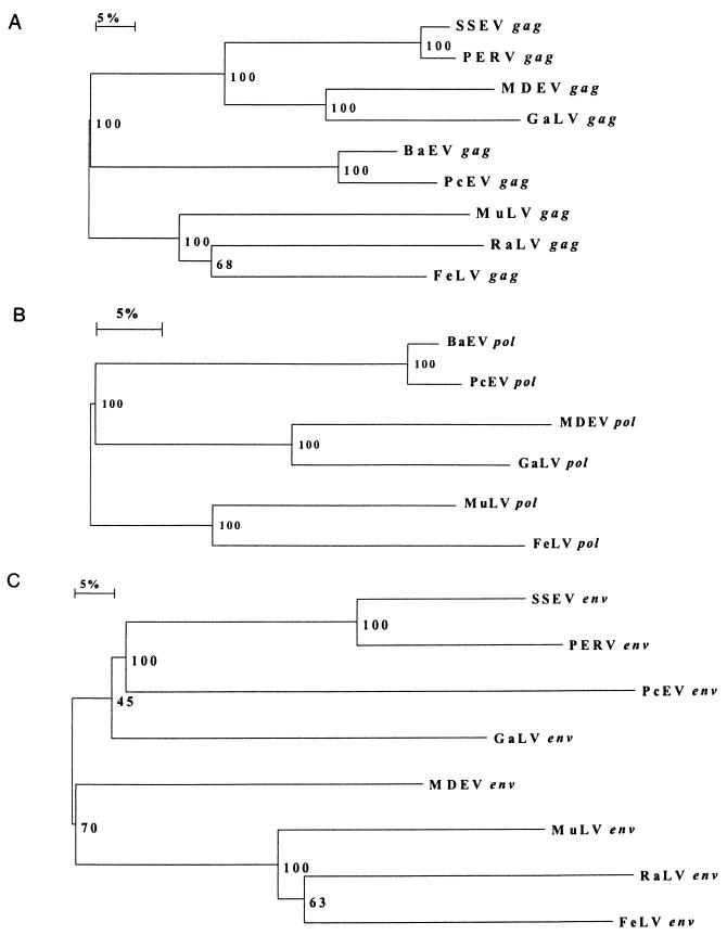 FIG. 3