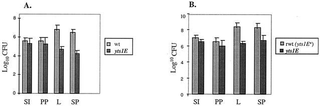 FIG. 5.