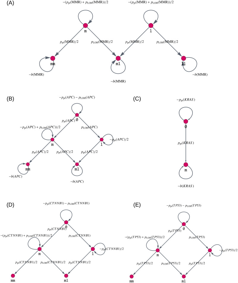 Fig 2