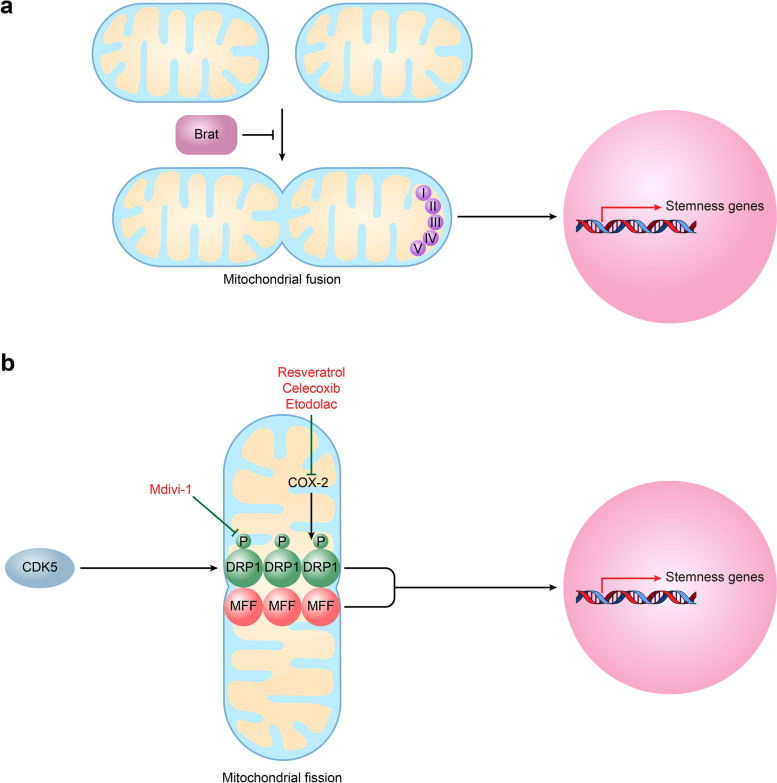 Fig. 3